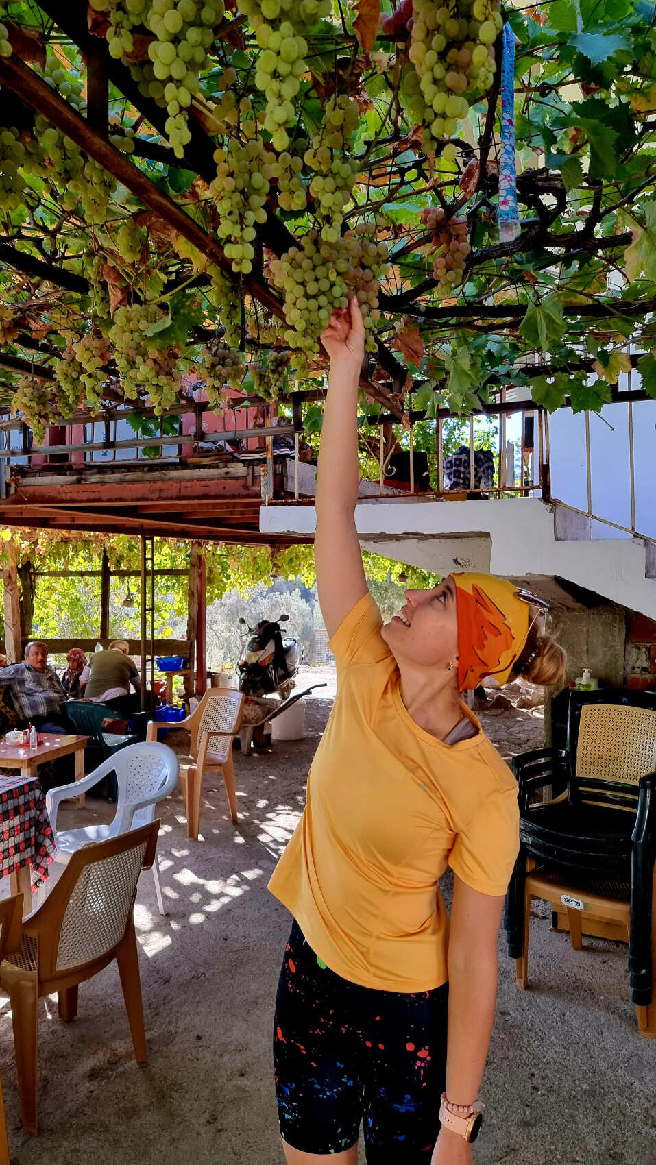 Треккинг по Ликийской тропе. Западная часть (10 дней) (12/43)