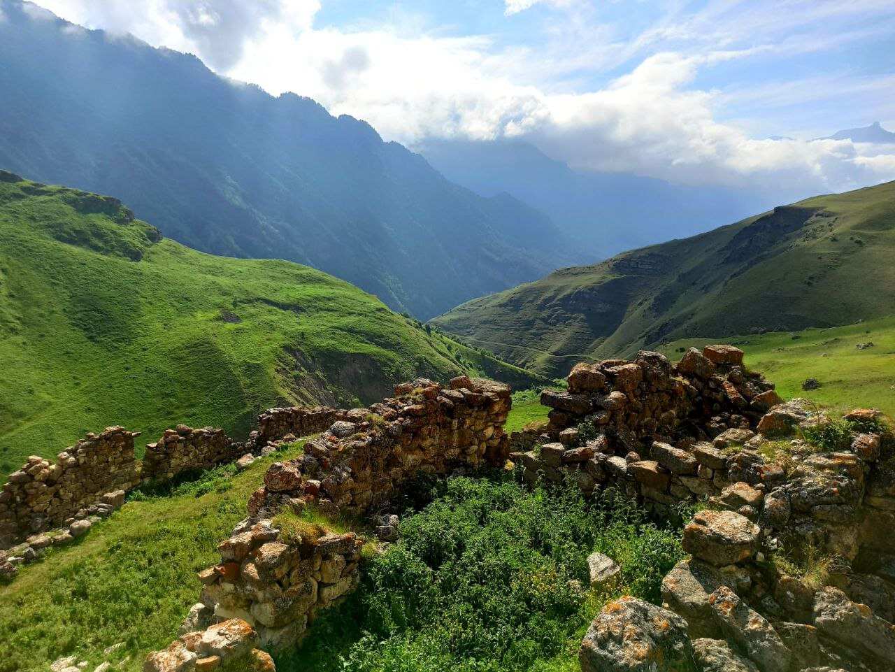 Дигория (3/10)