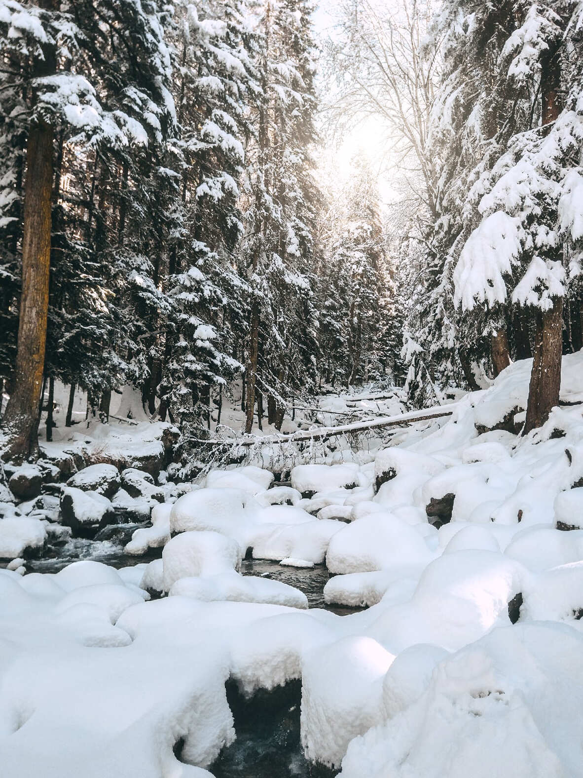 4х дневный актив-тур в Архыз (2/25)