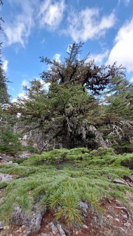 Ликийская тропа через горы к морю Все включено налегке (20/60)