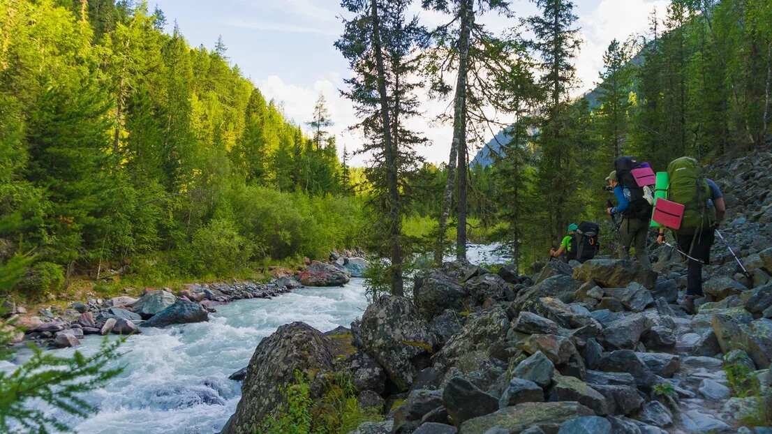 Треккинг к подножию Белухи налегке, с конным сопровождением (62/69)
