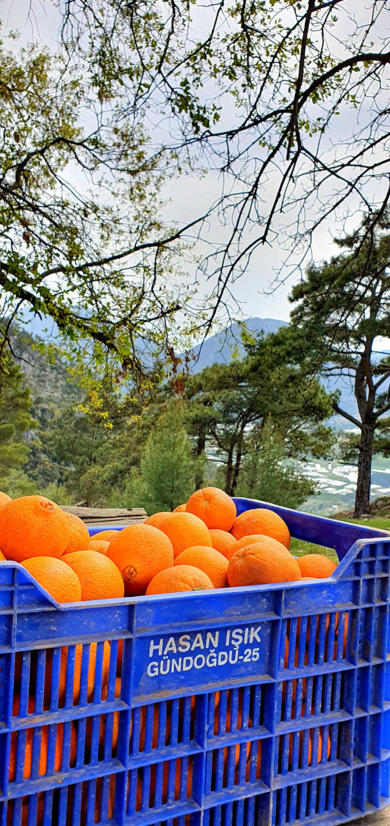 Треккинг по Ликийской тропе (без рюкзаков) (28/53)