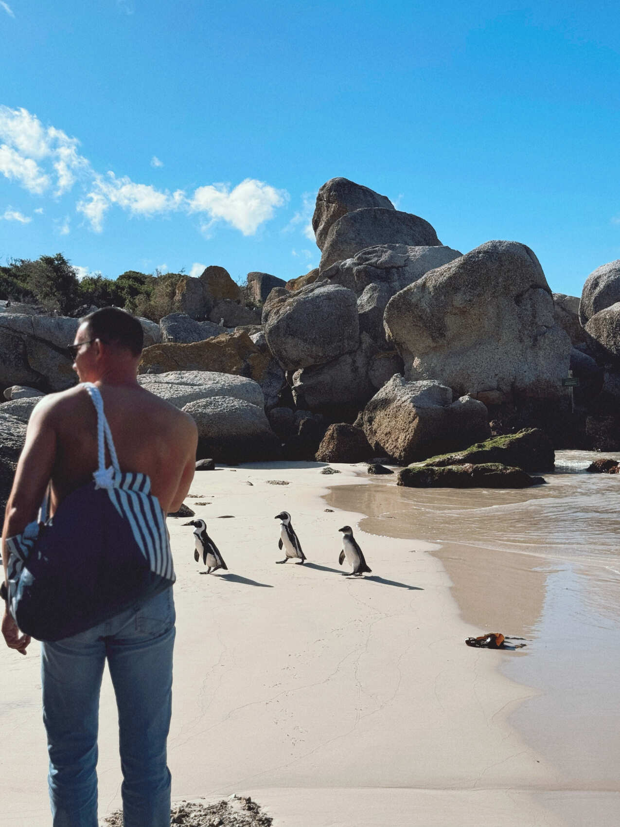 Африканское приключение в Юар (2/109)