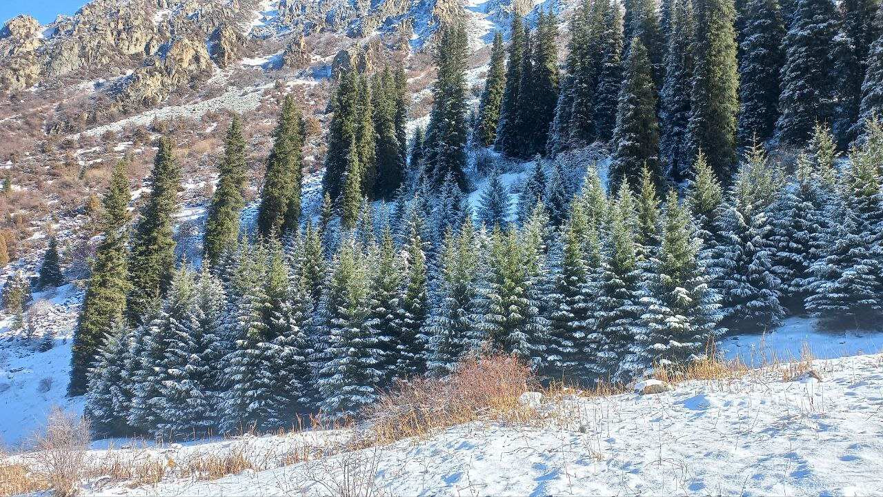 Национальный парк Ала-Арча и ночная жизнь Бишкека, как живет мегаполис!! (2/25)