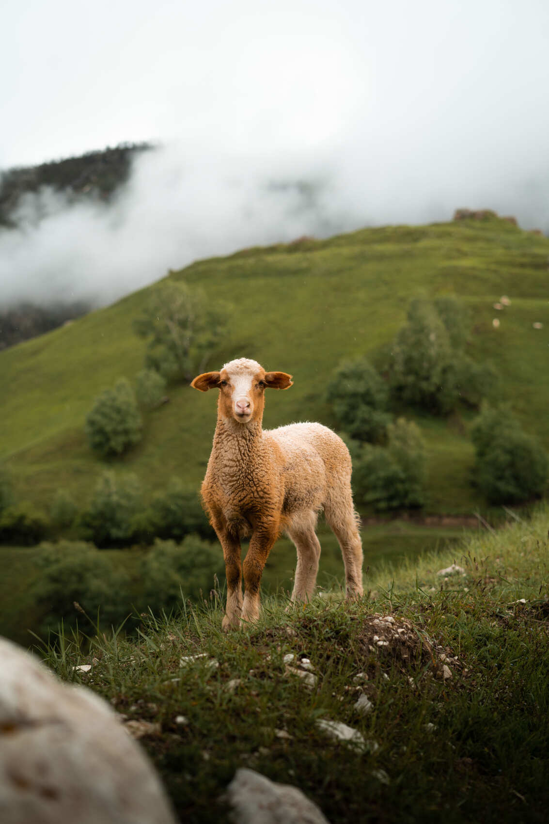 Кубачи - знаменитый аул ювелиров (6/7)