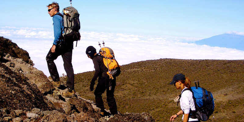 Восхождение на Килиманджаро, 7-дневный маршрут Лемошо, приключение на всю жизнь - группа (7/16)