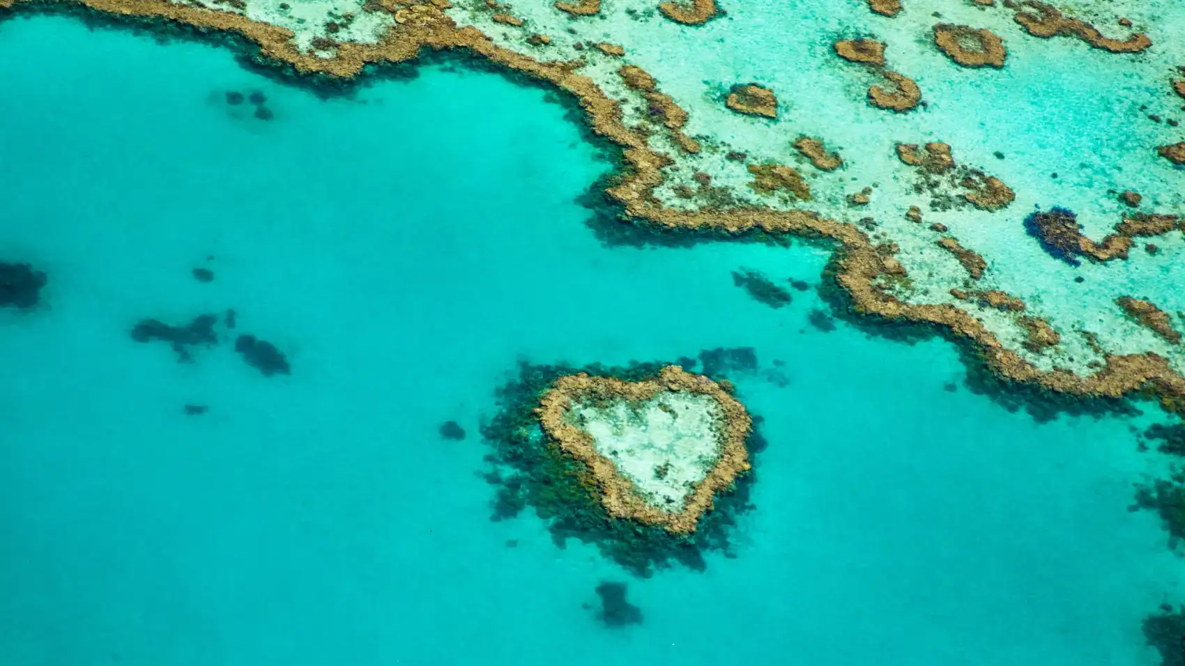 Австралия на парусном катамаране. Острова Уитсанди и барьерный риф (5/31)