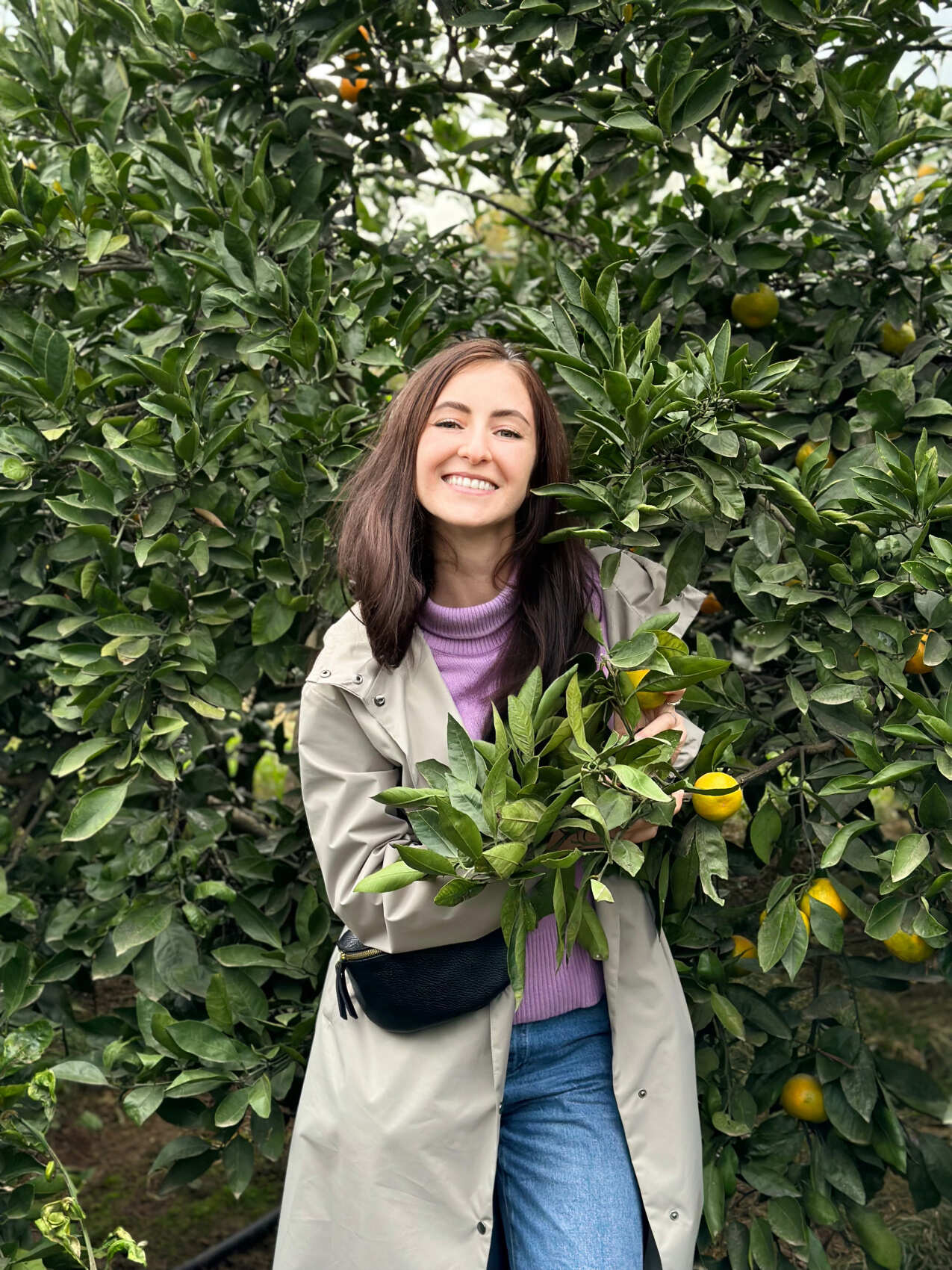 Увидеть весь Азербайджан за 8 дней (104/201)