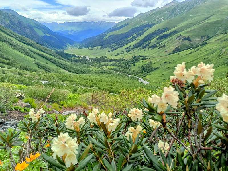 Архыз-Домбай экскурсионный (26/63)