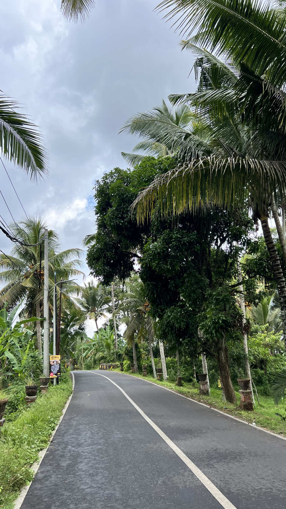 Фото-девичник на Бали за 10 дней (85/167)