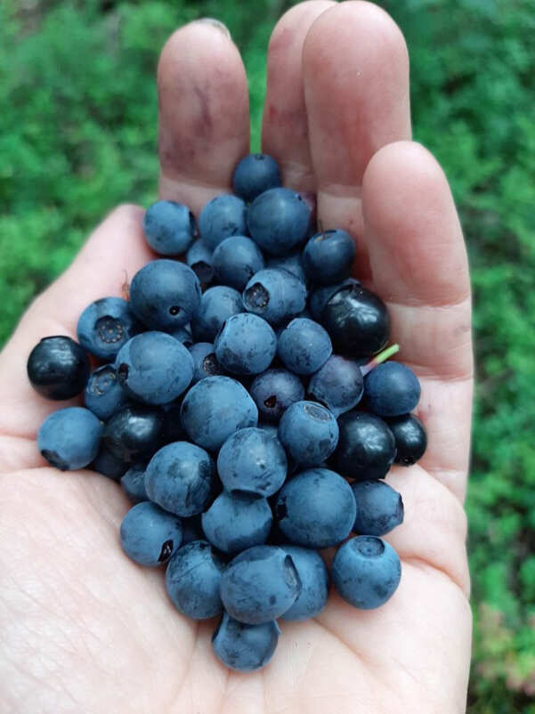 Река Кереть и безграничное Белое море (21/35)