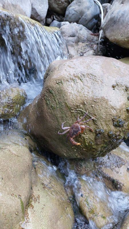 Ликийская тропа через горы к морю Все включено налегке (24/60)