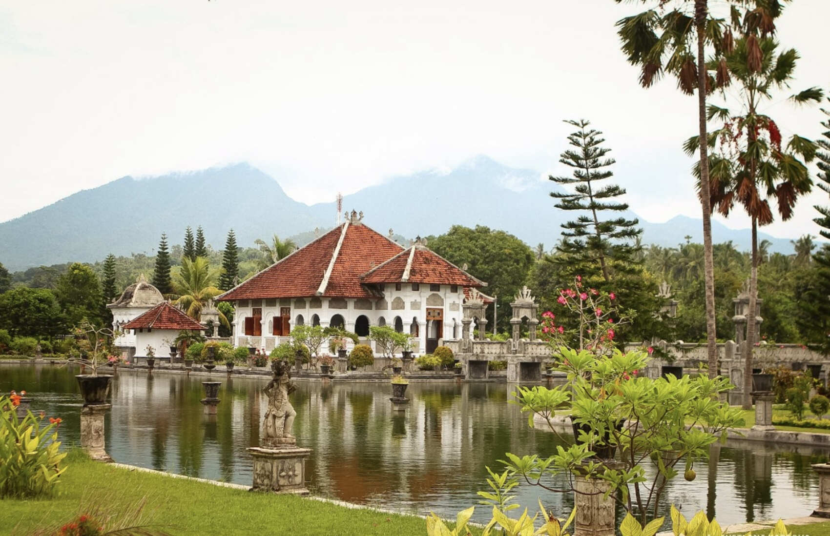 Фото-девичник на Бали за 10 дней (13/167)