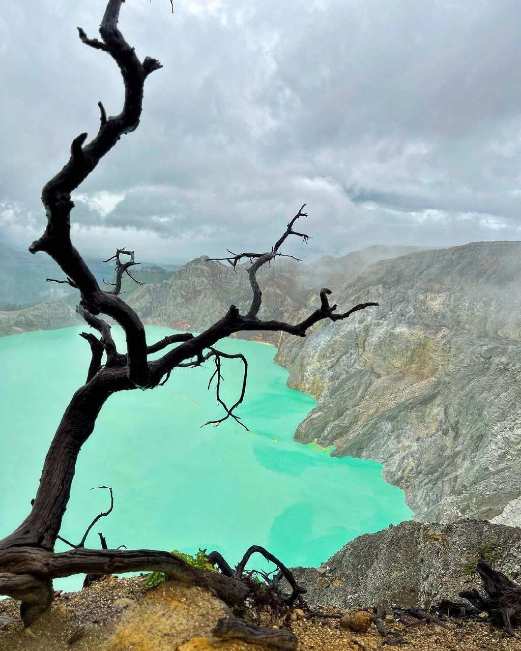 5 островов Индонезии (Бали, Нуса Пенида, Ява, Флорес, Комодо) 13 дней (55/122)