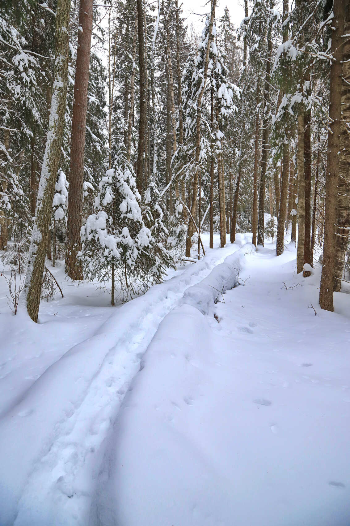 Лыжи и Спа. Однодневный выезд под Выборгом (9/16)