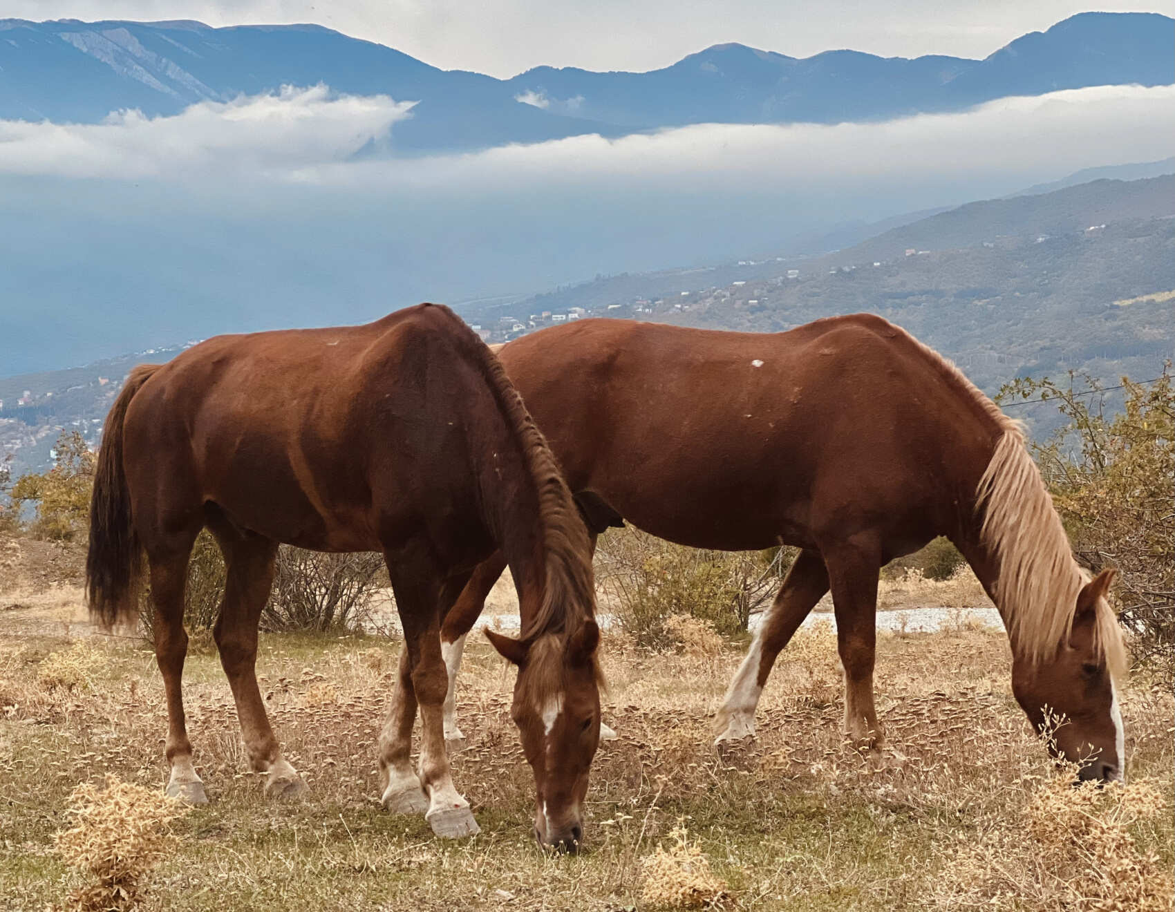 Крымский девичник  2025 (32/55)