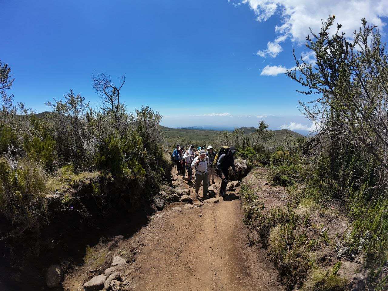 Маршрут Лемошо, Килиманджаро, 9 дней (12/13)