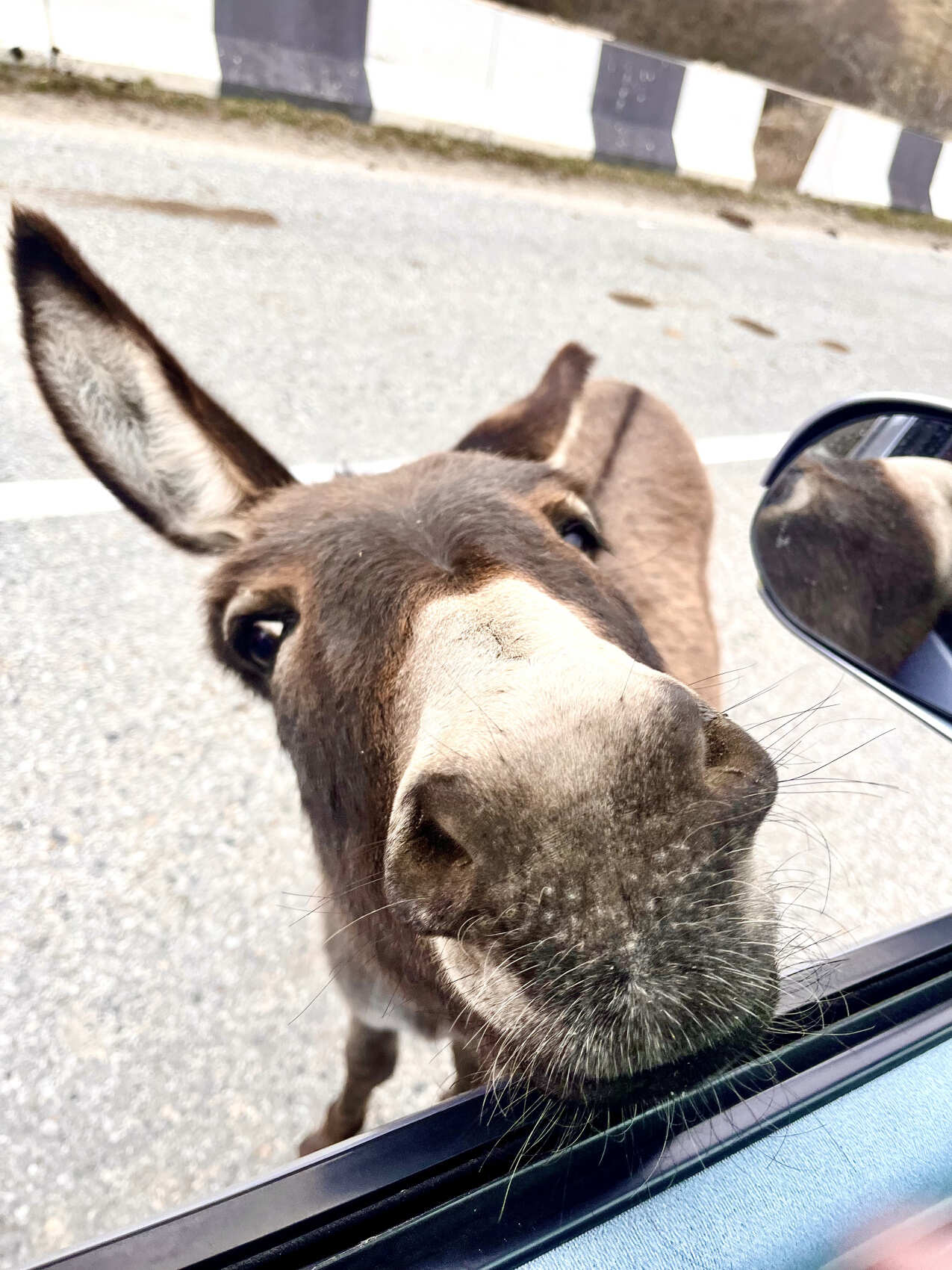 Верхняя Балкария  +Язык Тролля +Горячие Источники