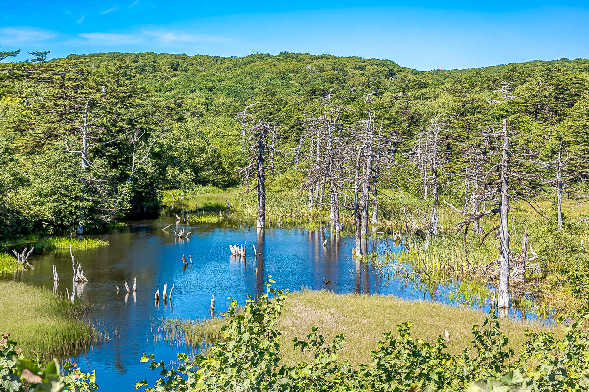 Четыре вулкана Курильских островов. Путешествие на другую планету (45/186)