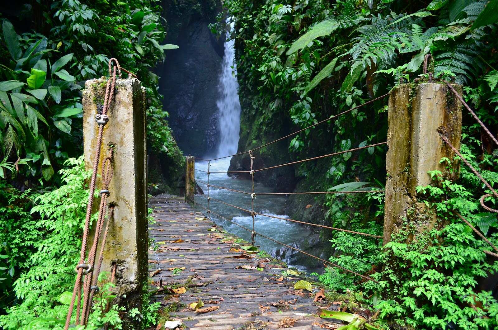 14 дней в Эквадоре: основные достопримечательности Амазонки и Галапагосских островов (5/7)