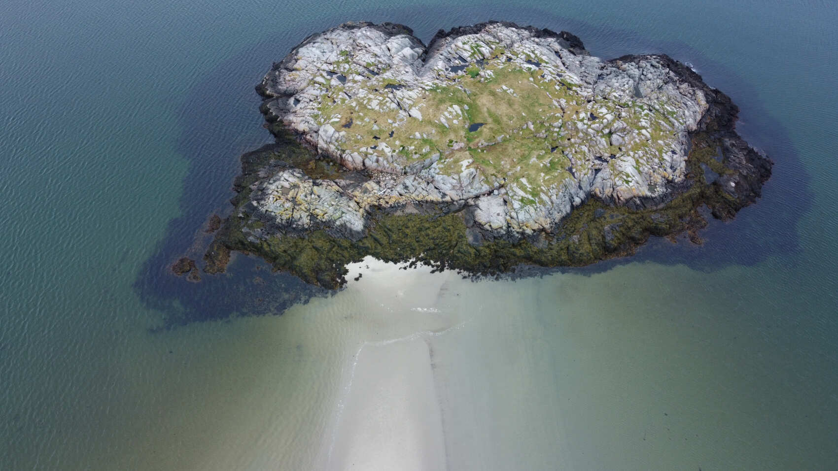 Жизнь на корабле! Киты, Териберка (7/34)