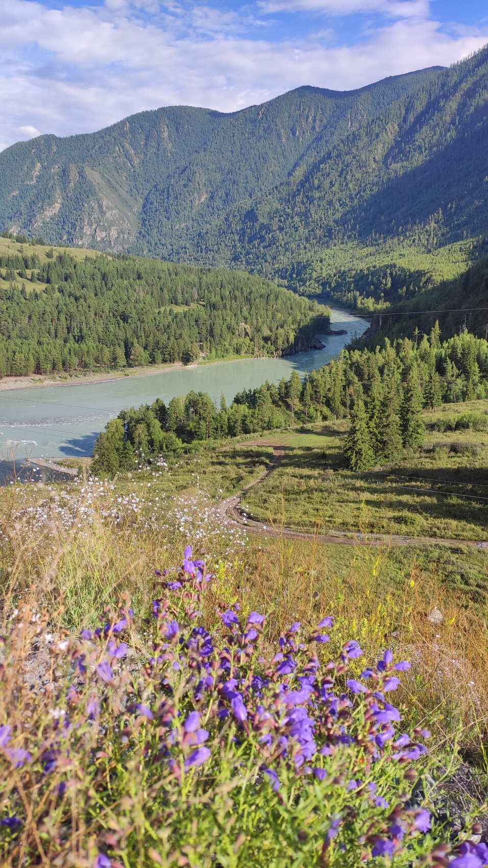 Сердце Горного Алтая: до Монголии и обратно (16/82)