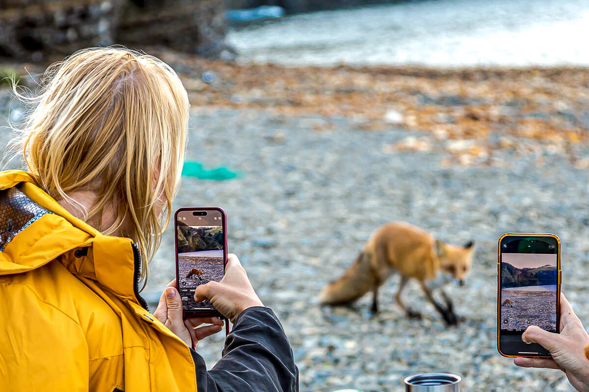 Перезагрузка на Итурупе. Путешествие на другую планету (2/171)