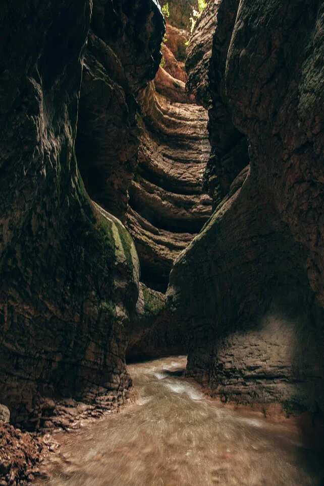 Однодневный тур - Гамсутль + Салтинский водопад (4/10)