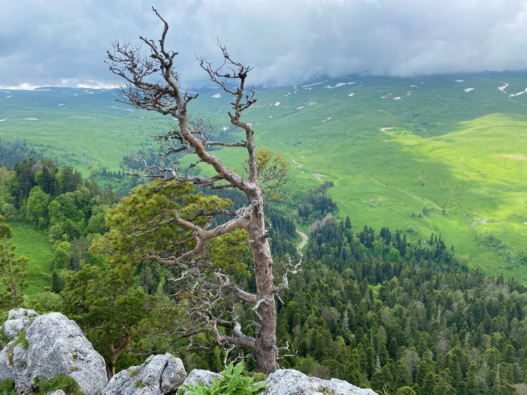 Адыгея за 3 дня: природа, термы и сыр (индивидуально, по запросу) (10/20)