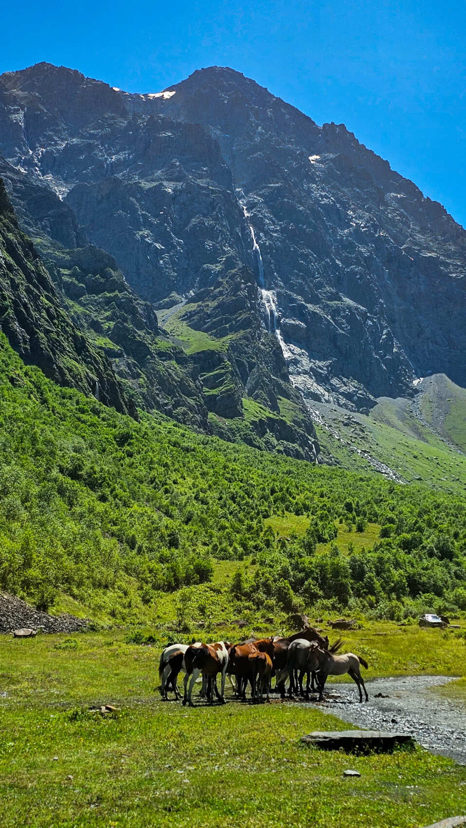 Северная Осетия. Горная любовь (из Минвод + Кисловодск) (3/121)