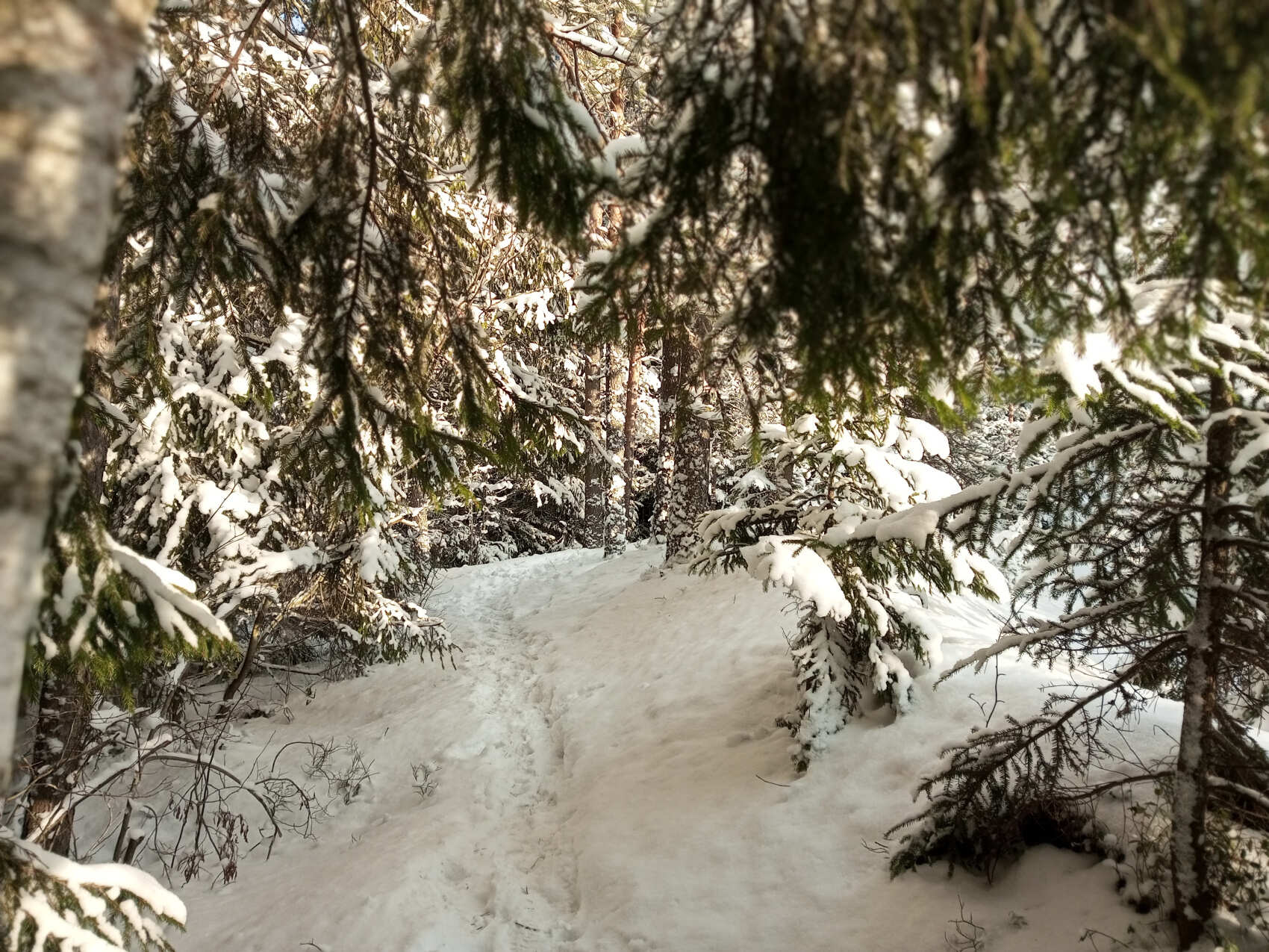 Основы альпинизма на Малых Скалах. Однодневный выезд из Петербурга (11/14)
