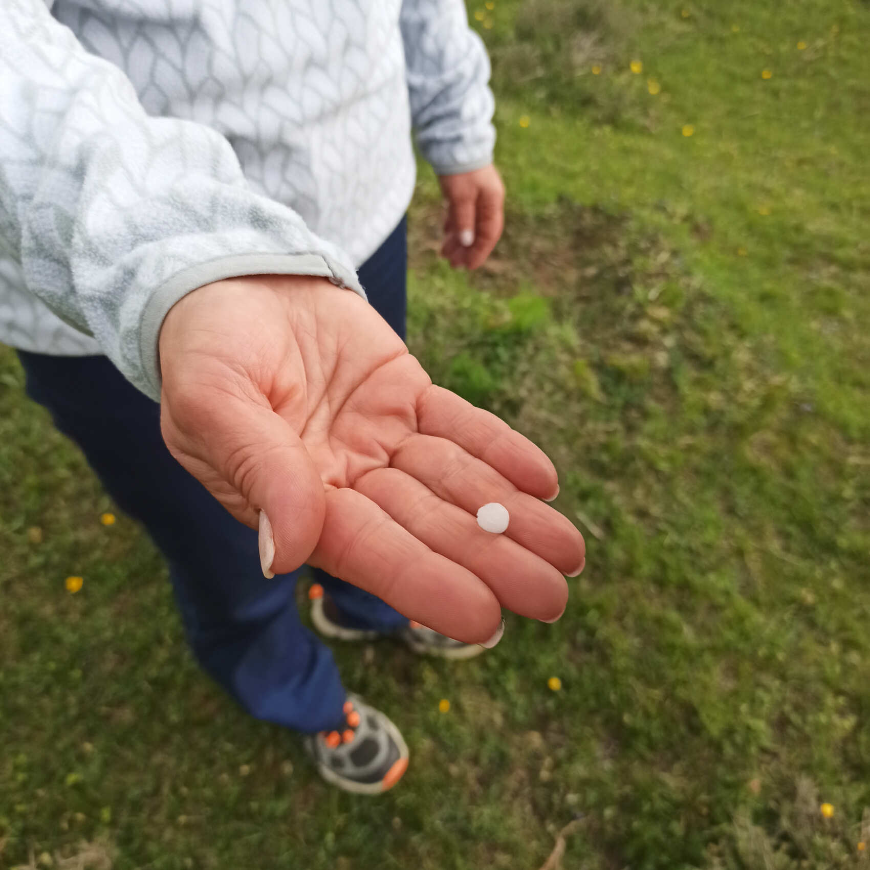 Восхождение на гору Маяк в Гунибском районе (12/13)