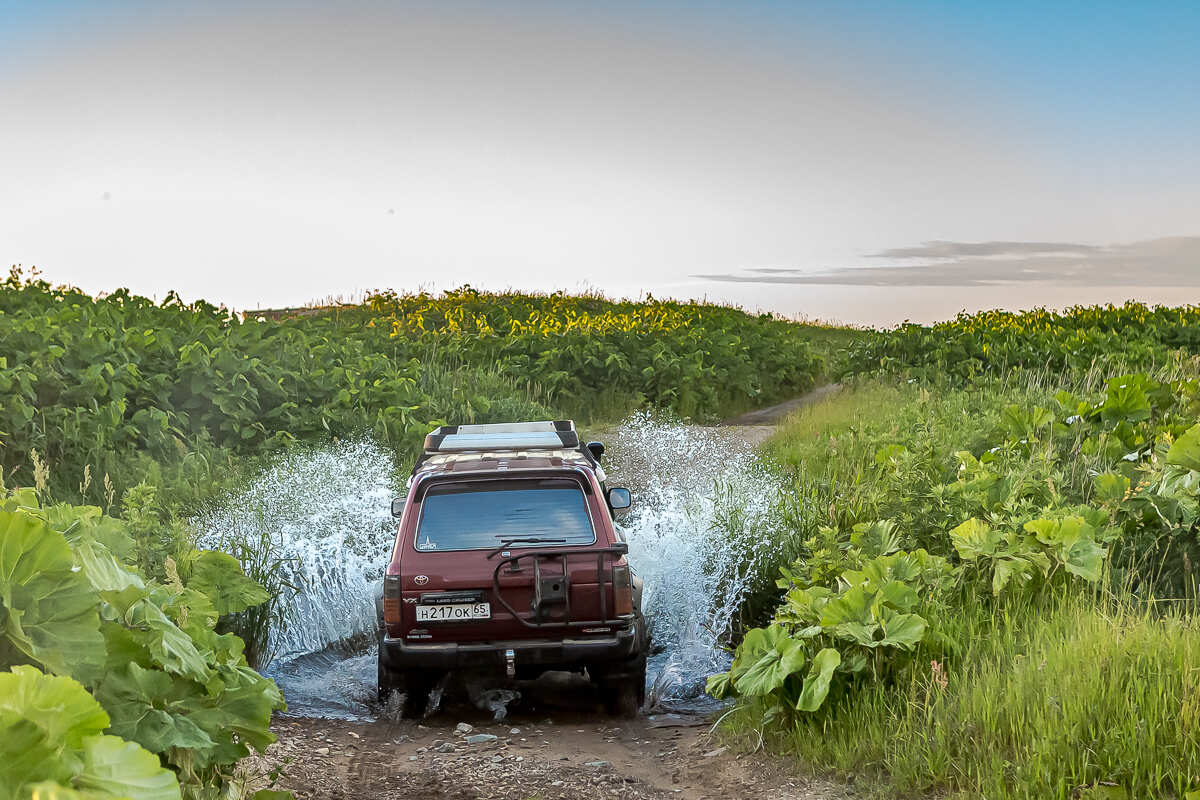 Весь Шикотан. Путешествие на другую планету (12/140)