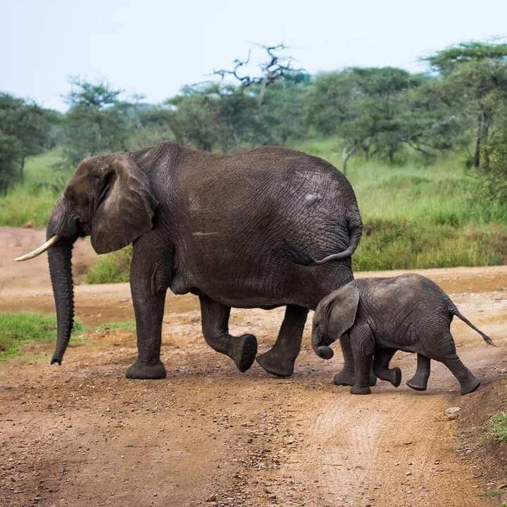 Занзибар: Приключения в Раю (7/55)
