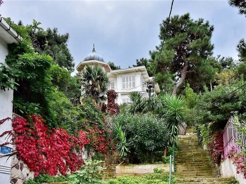 Самый зеленый из Принцевых островов — круглый год (2/11)