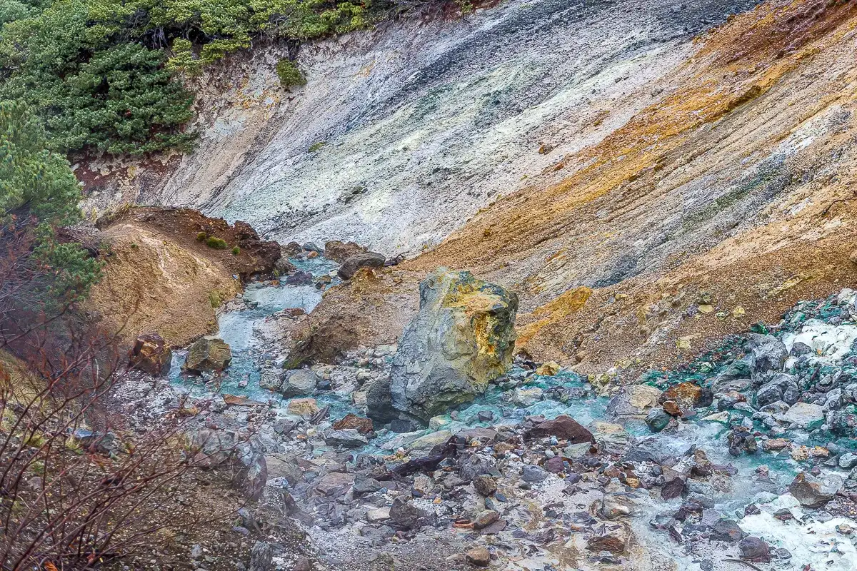 Кунашир и Хабомаи. Путешествие на другую планету (8/142)