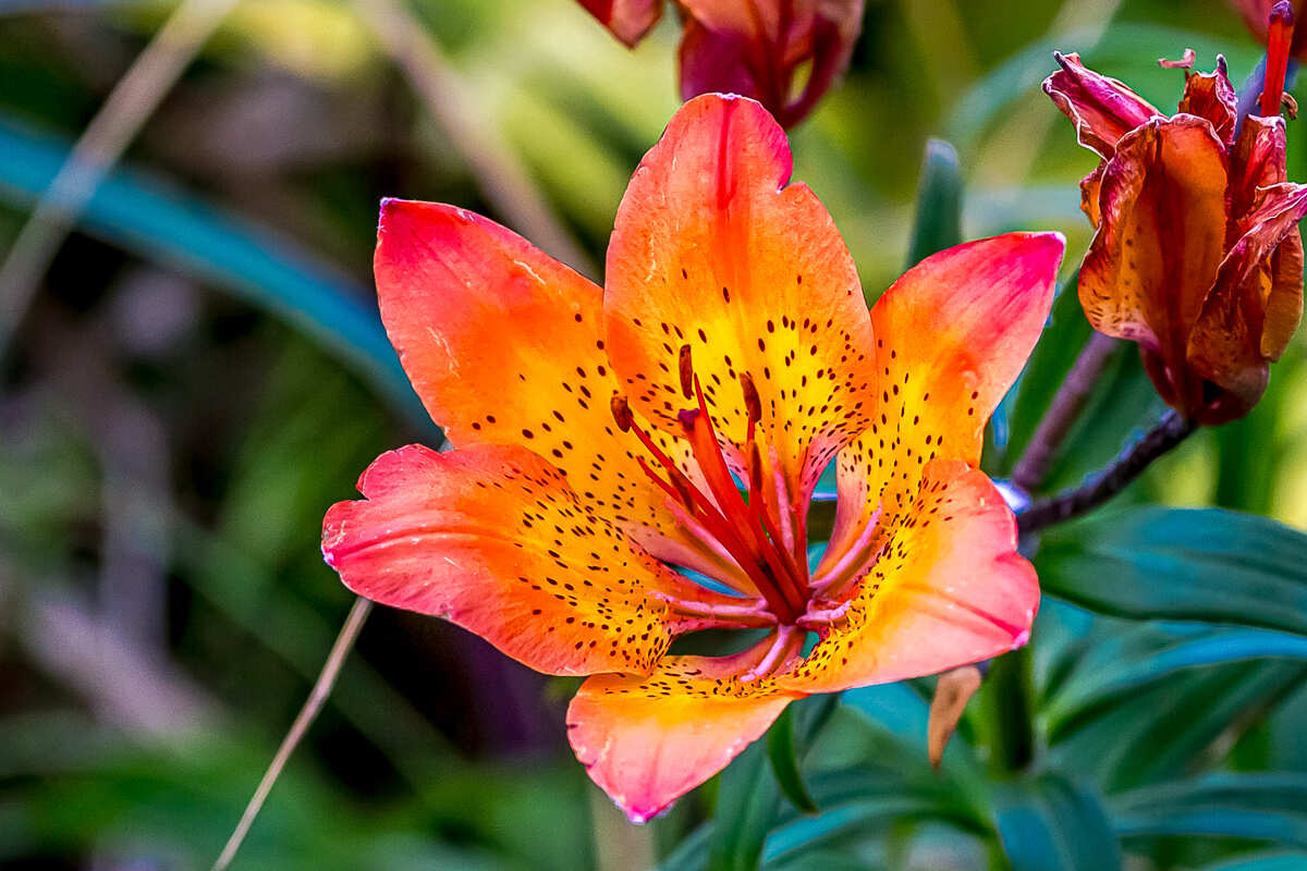 Перезагрузка на Итурупе. Путешествие на другую планету (6/171)