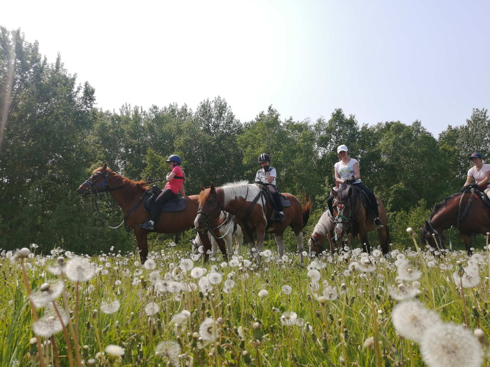 Конный тур к реке Авача (5/17)