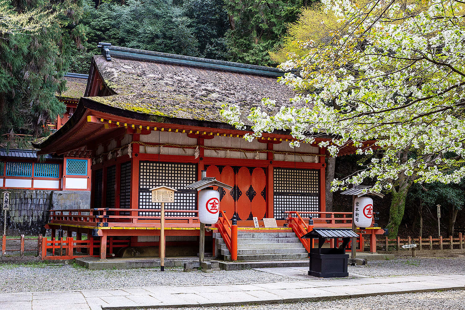 Там, где родилась Япония (8/54)