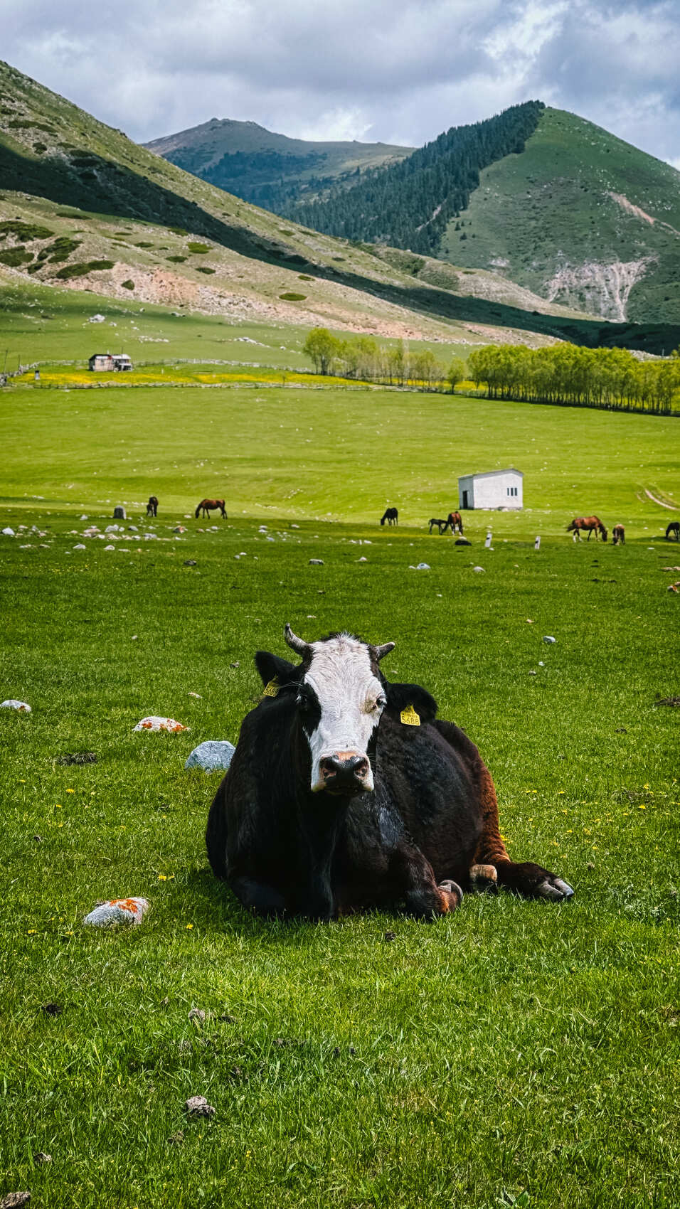 Активный тур  Всё включено! (30/61)