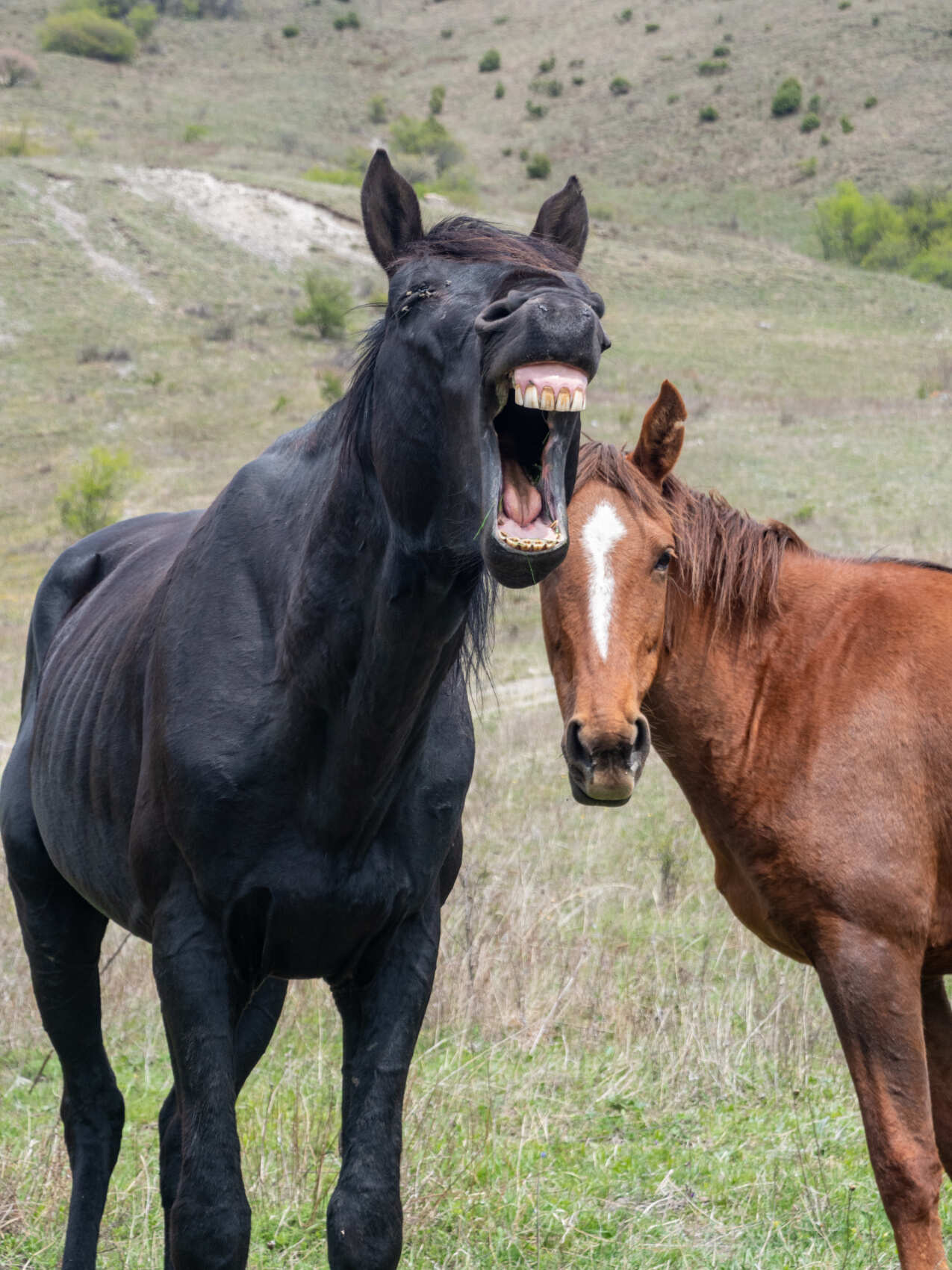 Самые красивые и безлюдные места Горной Ингушетии вместе с фотографом (14/40)