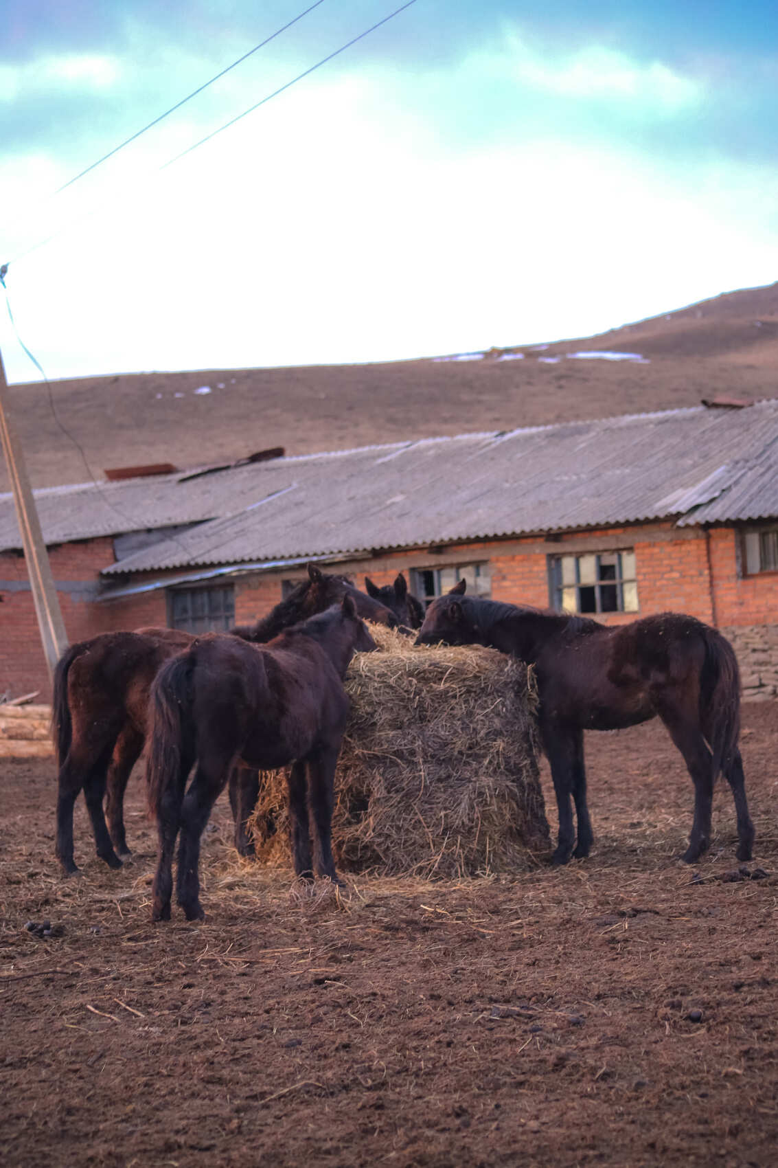 4-дневный конный тур Галопом по просторам Карачаево-Черкесии (4/23)