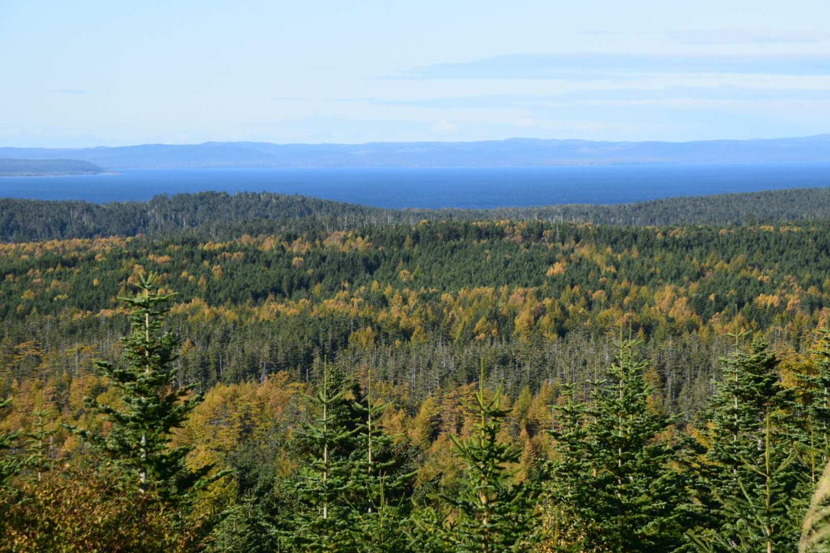 Манящий Сахалин (2/31)