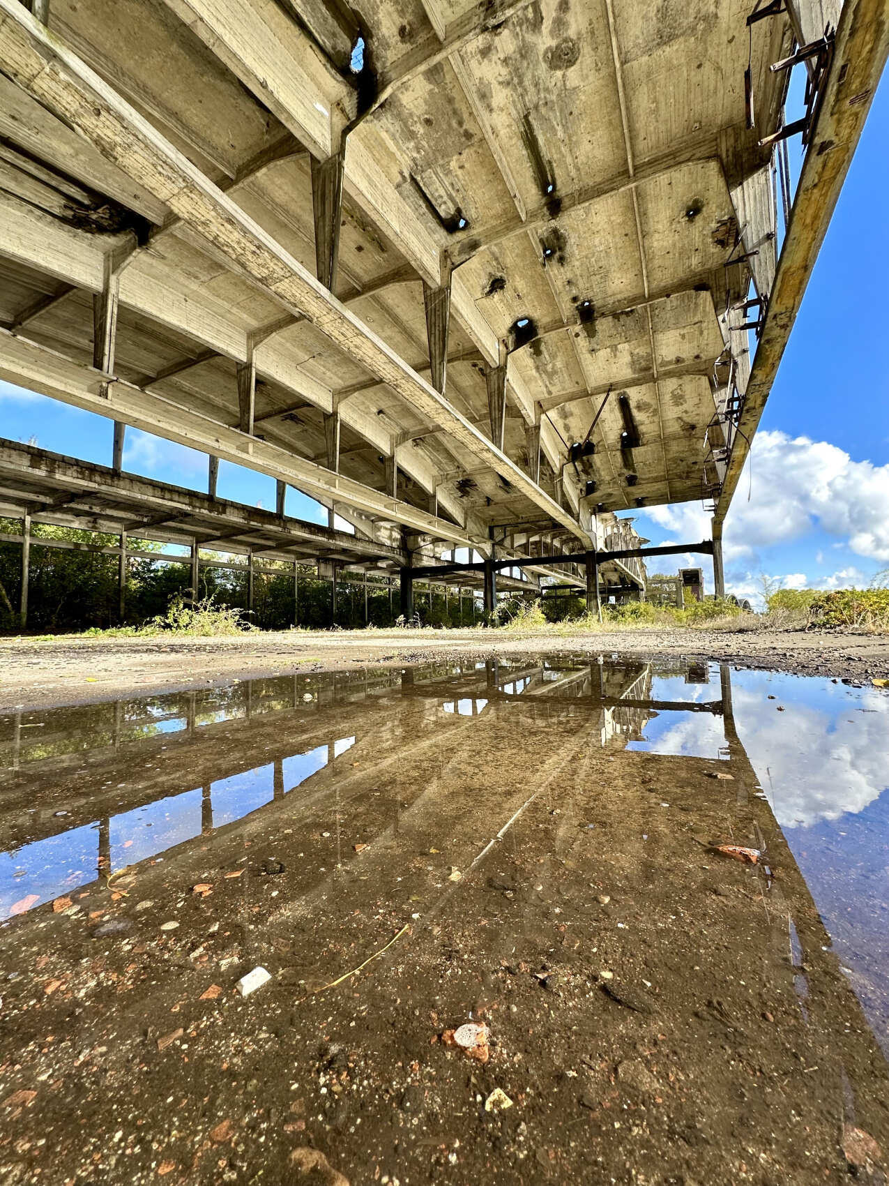 Тайны Пиллау и Дикий запад (7/22)