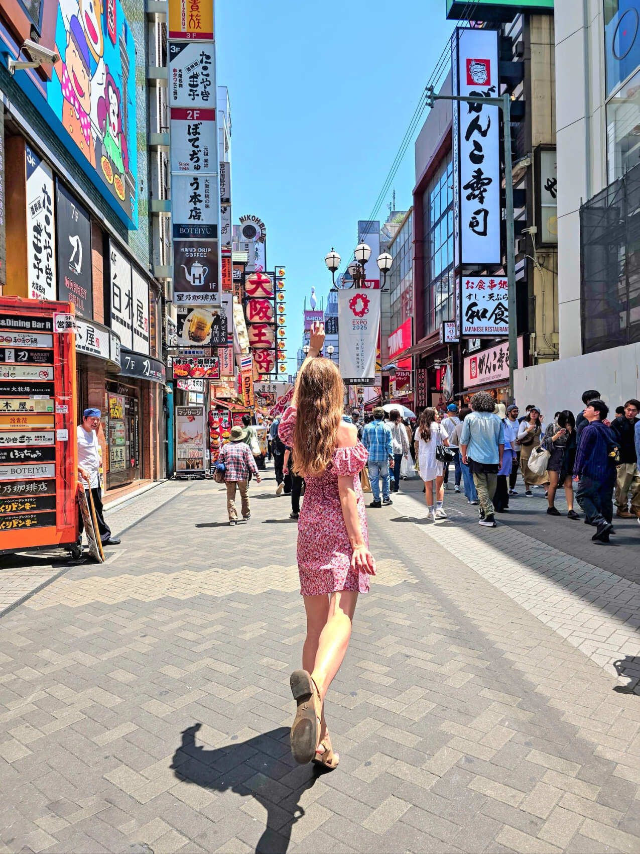 Япония  — путешествие по стране восходящего солнца (14/75)