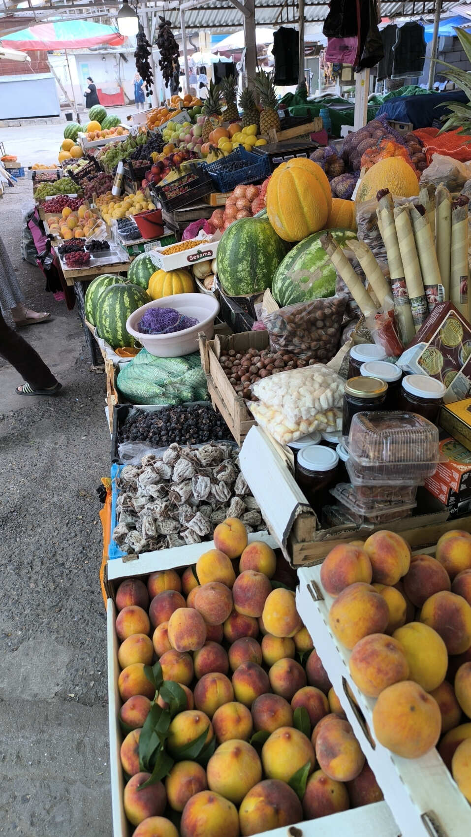 Знакомство с виноделием Дербента, экскурсия из Махачкалы. (7/15)