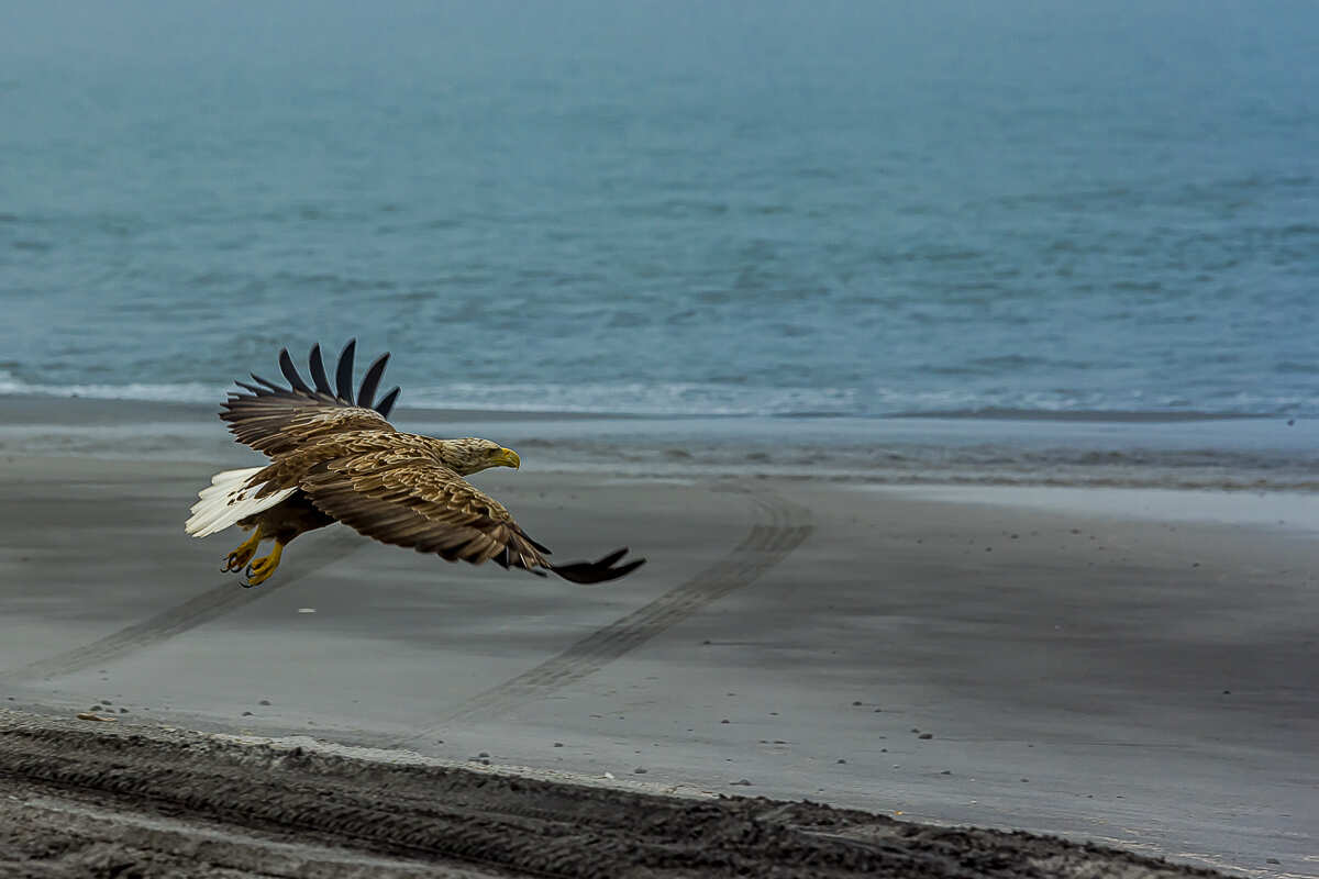 Интенсивный Итуруп. Путешествие на другую планету (6/117)