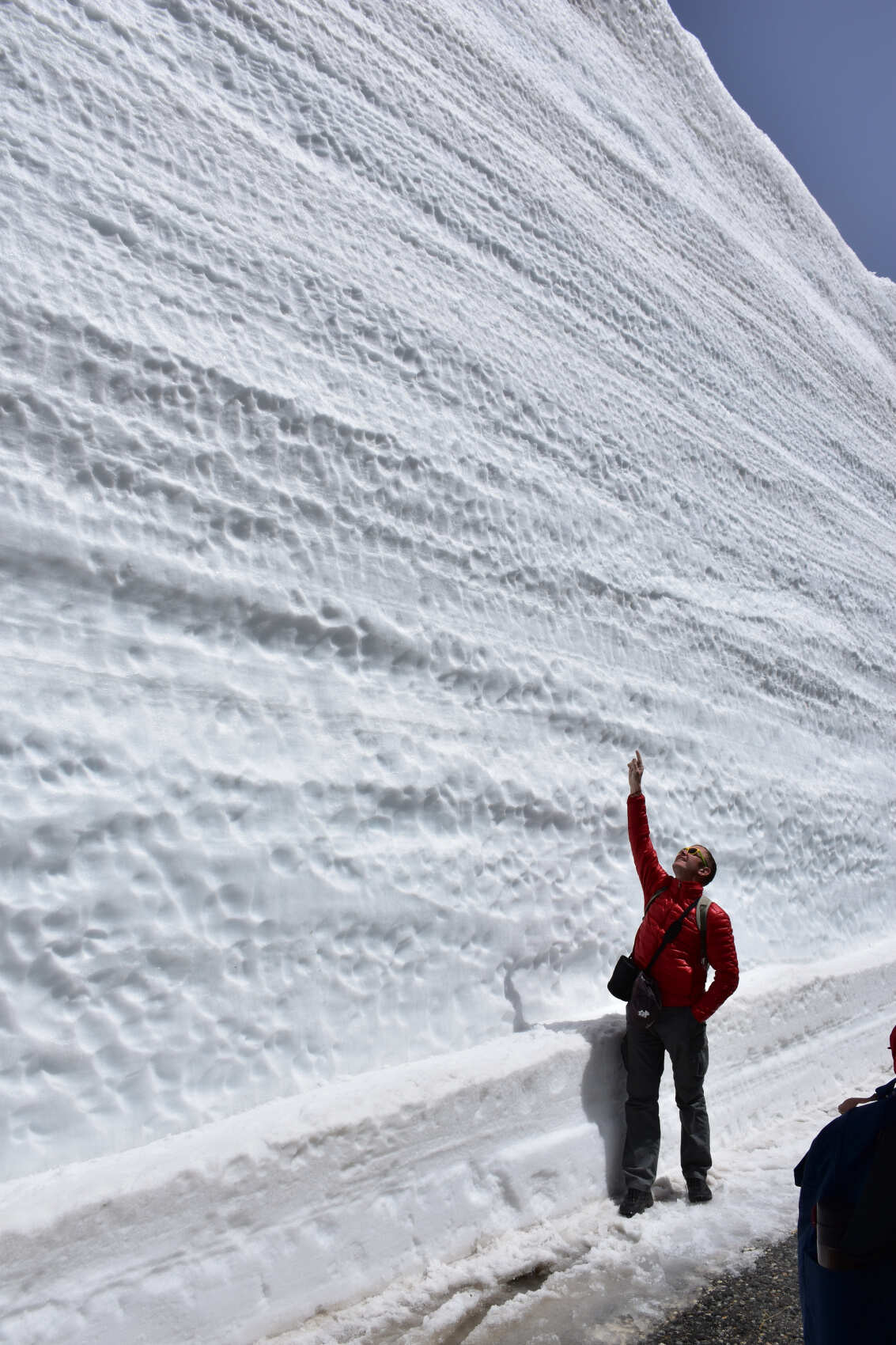 Сакура в Японских Альпах (9/48)
