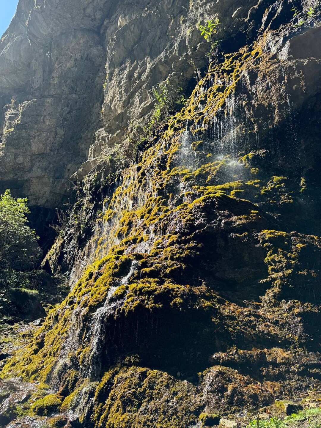 Кабардино-Балкария: Тайны Гор и Долин. Из Владикавказа (5/73)