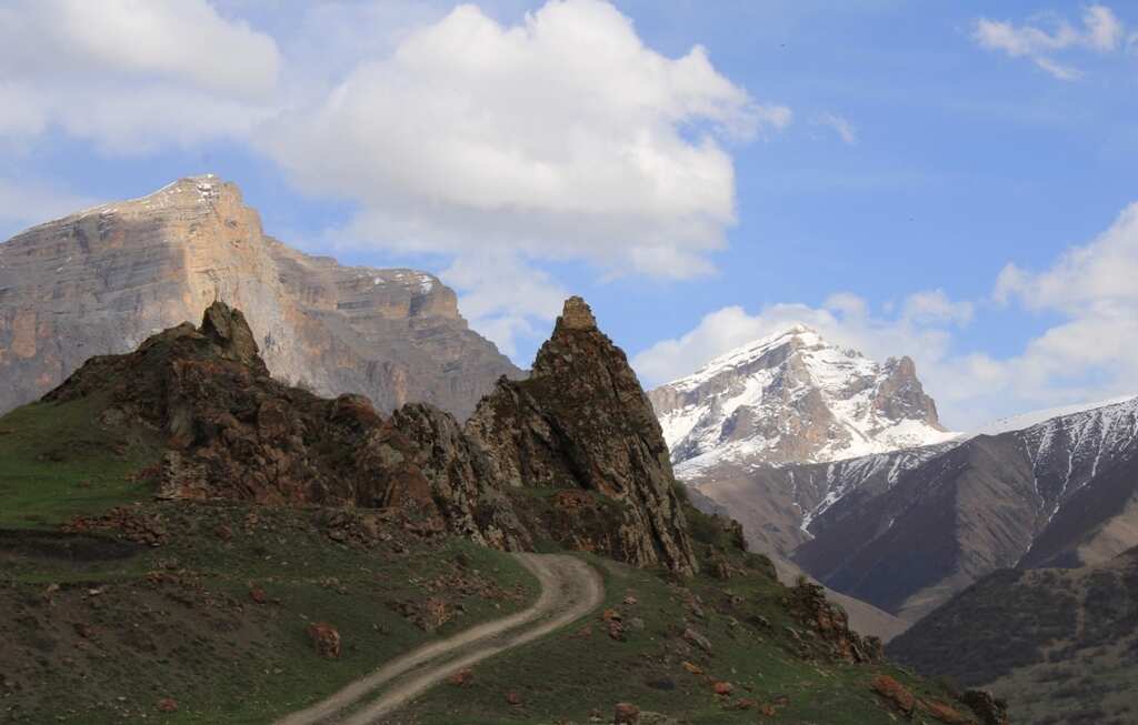 К цветущим рододендронам! (4/19)